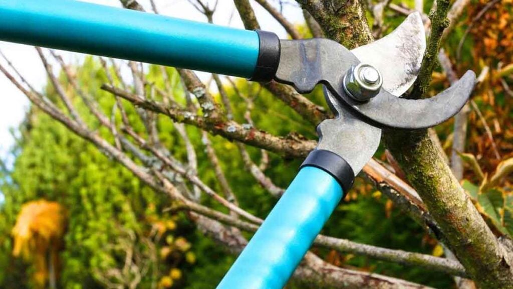 Lieber warten Für diese Gartenarbeiten ist es im März noch zu riskant